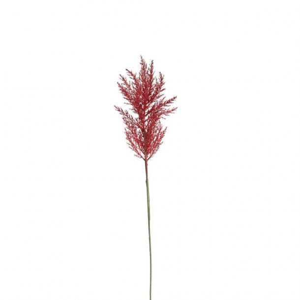 Bungalow blomstergren - feather flower bordeaux