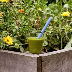 Hay sugerr smoothies 4 stk - ekstra store