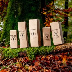 Men's Room hudpleje - Control Serum Step 2