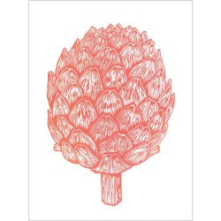 Monika Petersen 50x70 - Coral Artichoke