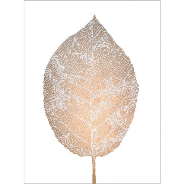 Monika Petersen 50x70 - Birch Leaf Gold/White