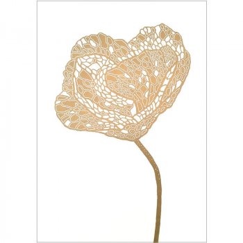 Monika Petersen 50x70 - Gold Poppy 2/Nude