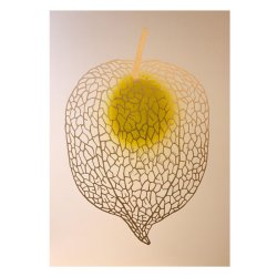 Monika Petersen 50x70 - Chinese Lantern Gold/canary yellow