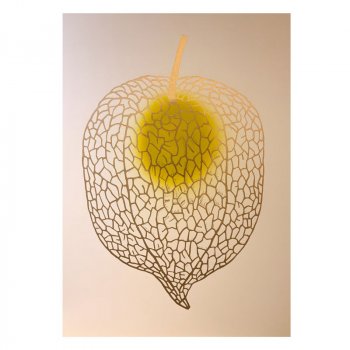 Monika Petersen 50x70 - Chinese Lantern Gold/canary yellow