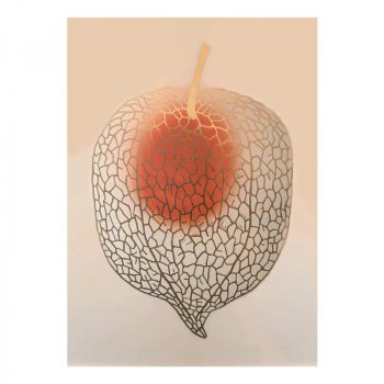 Monika Petersen 50x70 - Chinese Lantern Gold/nude