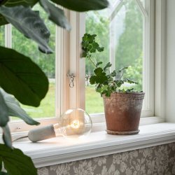 LED pre Spin - large 125mm