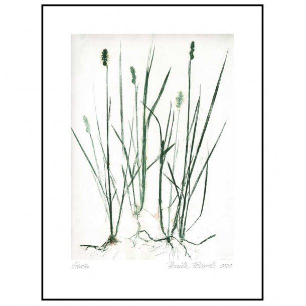 Pernille Folcarelli plakat 70x100 - grass green