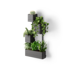 Wall planter - Cubiko