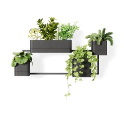 Wall planter - Cubiko